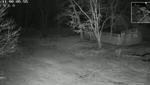 А у вас что в полночь во дворе?