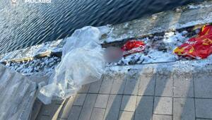 Жуть и мрачняк

Из Гольяновского пруда на востоке Москвы достали рюкзак с фрагментами детского тела