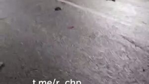 Замес на Южно-Лыткаринской автодороге

Подмосковье, вчера вечером