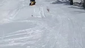  Добил лежачего!