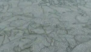 Скорей бы лёд встал