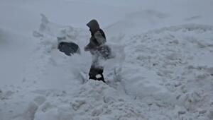 И о погоде

По-разному у нас в стране люди живут