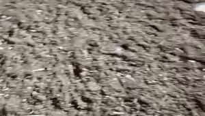 А не было ли у него умысла на теракт конфликт?