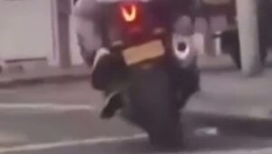  Тот самый случай, когда собака поступила умнее