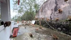 Надвигается что-то, приближается,  рядом оно - берегитесь!