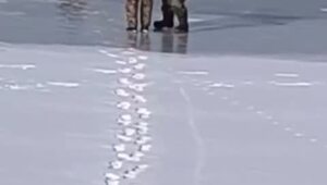 "Где машина?