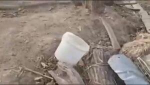 Вернемся к нашим баранам