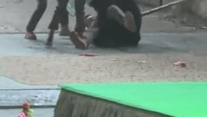 Человек с попугаем - лучший укротитель!