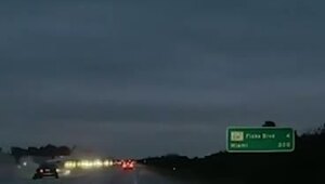 Во Флориде произошло весьма необычное ДТП