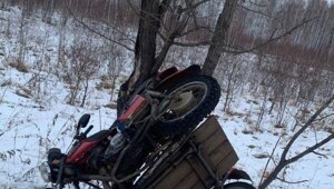  Красноярский край