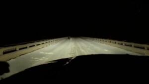 Котяра, яйца видишь висят