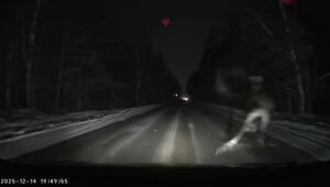 Добрый вечер