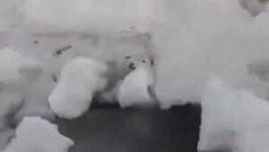 Красивое из Бурятии