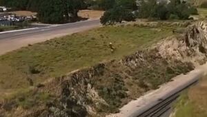 В США мотоциклист так сильно хотел сбежать от копов, что выполнил трюк в стиле ГТА