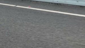 «Лежачие полицейские» в Австралии немного отличаются от наших