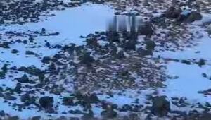 «Эээ, новая машина, не борщи»