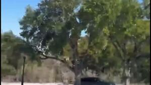 Красиво в Остине (Техас)!