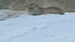 Попутку ждет, наверное