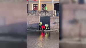 Воскресный день в Питере