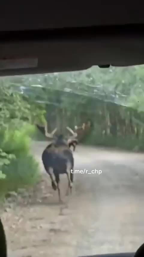 ЧТО ПРОИСХОДИТ?