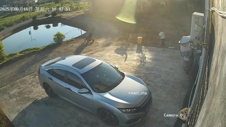 Тут совсем просто