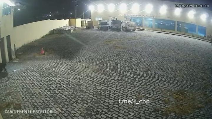 "КОТЫ И БАНДИТЫ", остросюжетный боевик