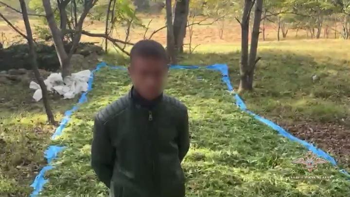 Этот безумный мир и его безумные новости