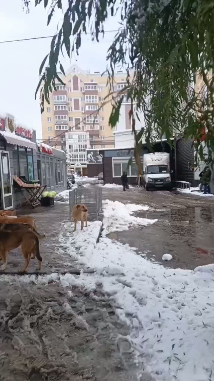 14 секунд Омска