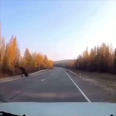 Хорошая реакция