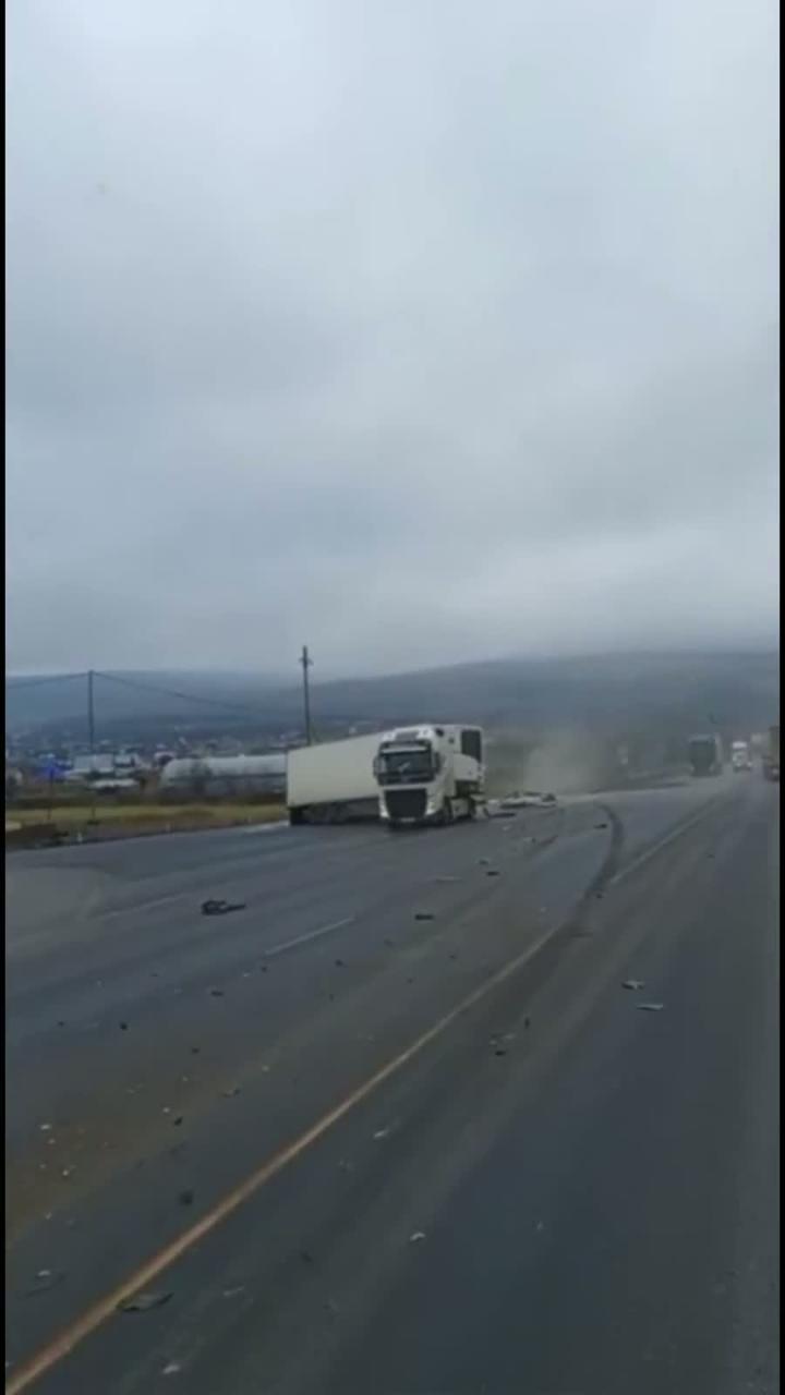 Профи местного разлива