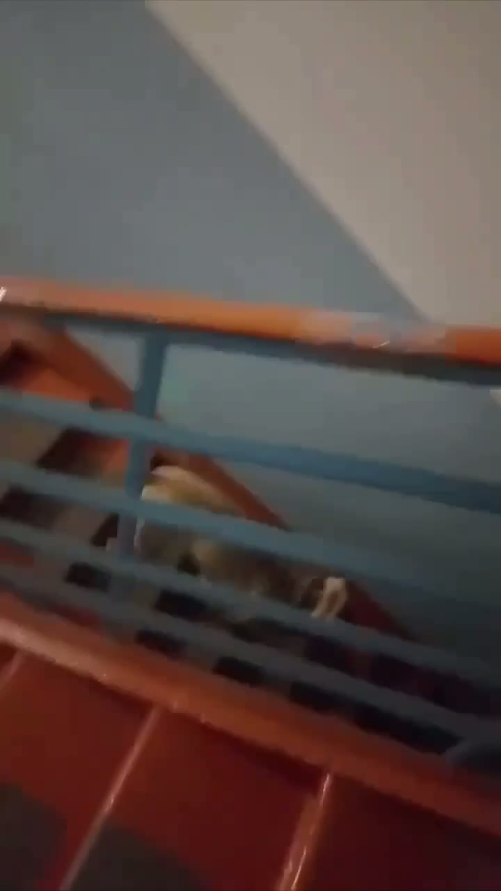 Проблемы с соседкой

Омск