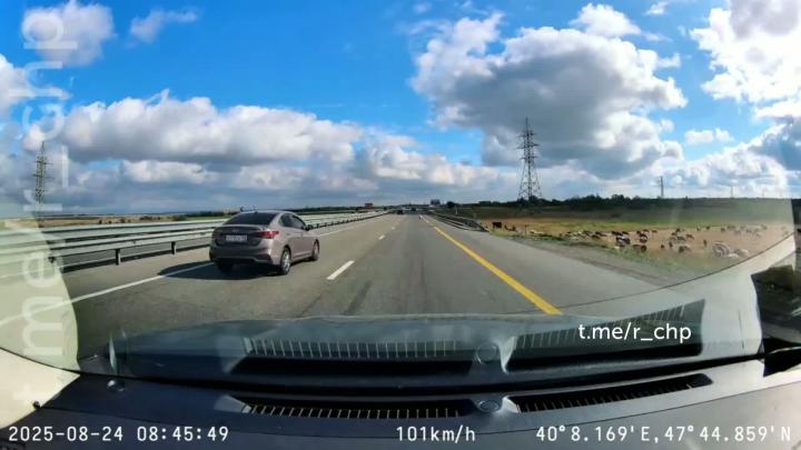 Летнее, но зрелищное из Ростовской области 

Автор опубликовал только вчера