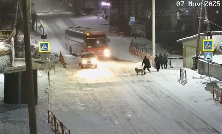 Чтобы не бить впереди стоящую машину, водитель автобуса принял решение вырулить в столб