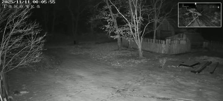 А у вас что в полночь во дворе?