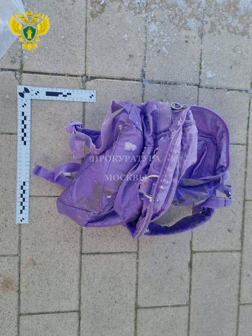 Рюкзак и пакет, в которые был завернут фрагмент тела