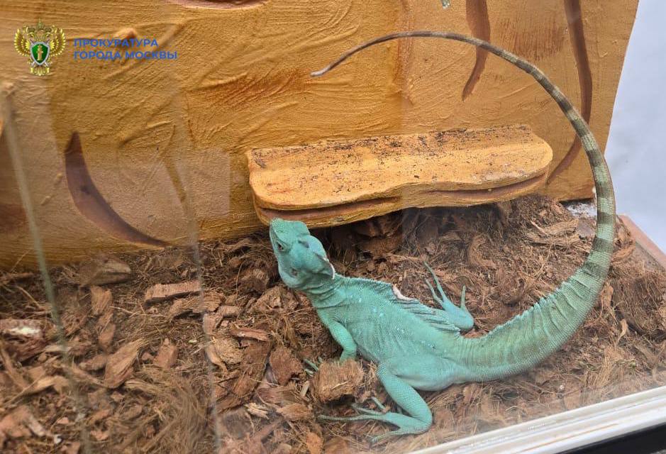 Межрайонная природоохранная прокуратура г