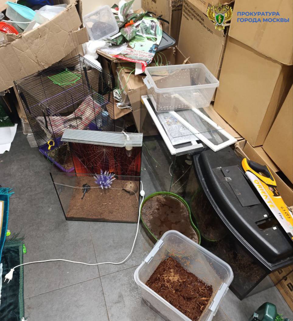 Межрайонная природоохранная прокуратура г