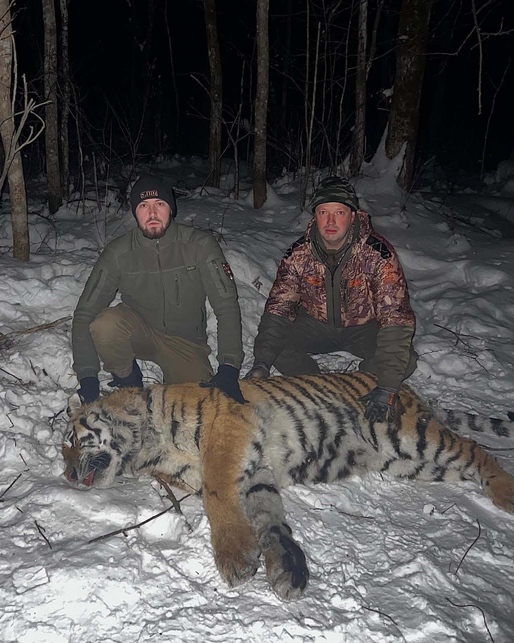 Массовый отлов конфликтных тигров

За последние 4 дня в Хабаровском крае охотоведы отловили трех хищников