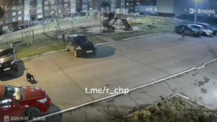 Сбил ребенка и сбежал