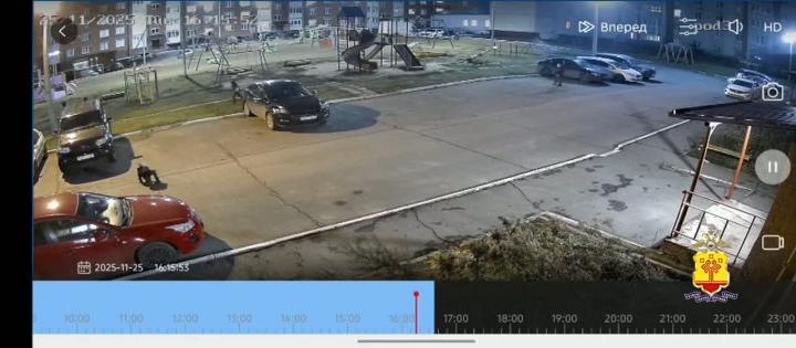 В Чувашии петух на мотоцикле сбил ребенка и трусливо уехал