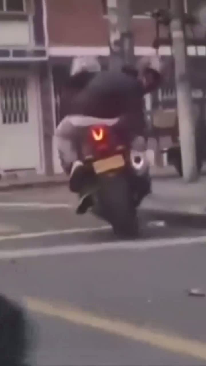  Тот самый случай, когда собака поступила умнее