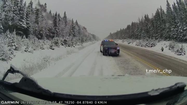 Ох, нелегкая это работа - эвакуировать бегемотов