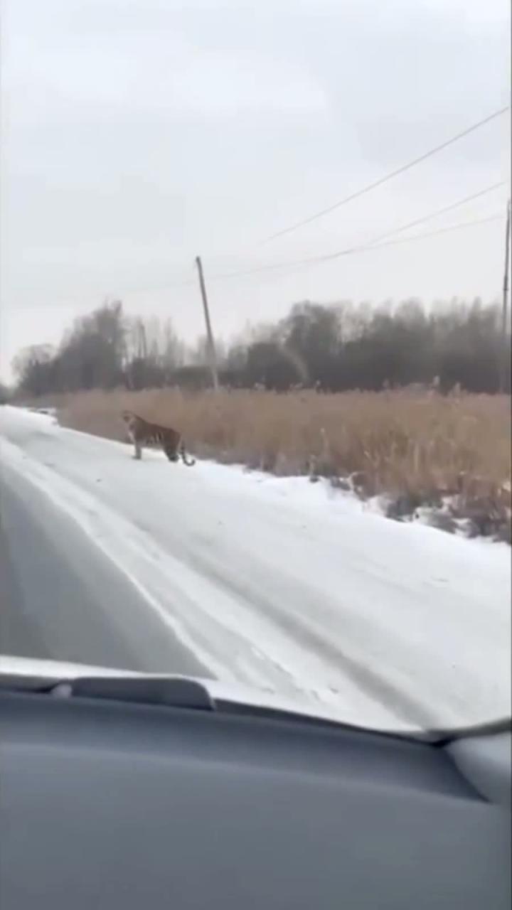 В шаговой доступности