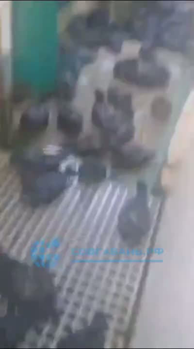 Начинается потихоньку Апокалипсис