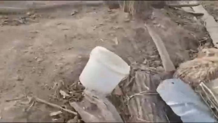 Вернемся к нашим баранам