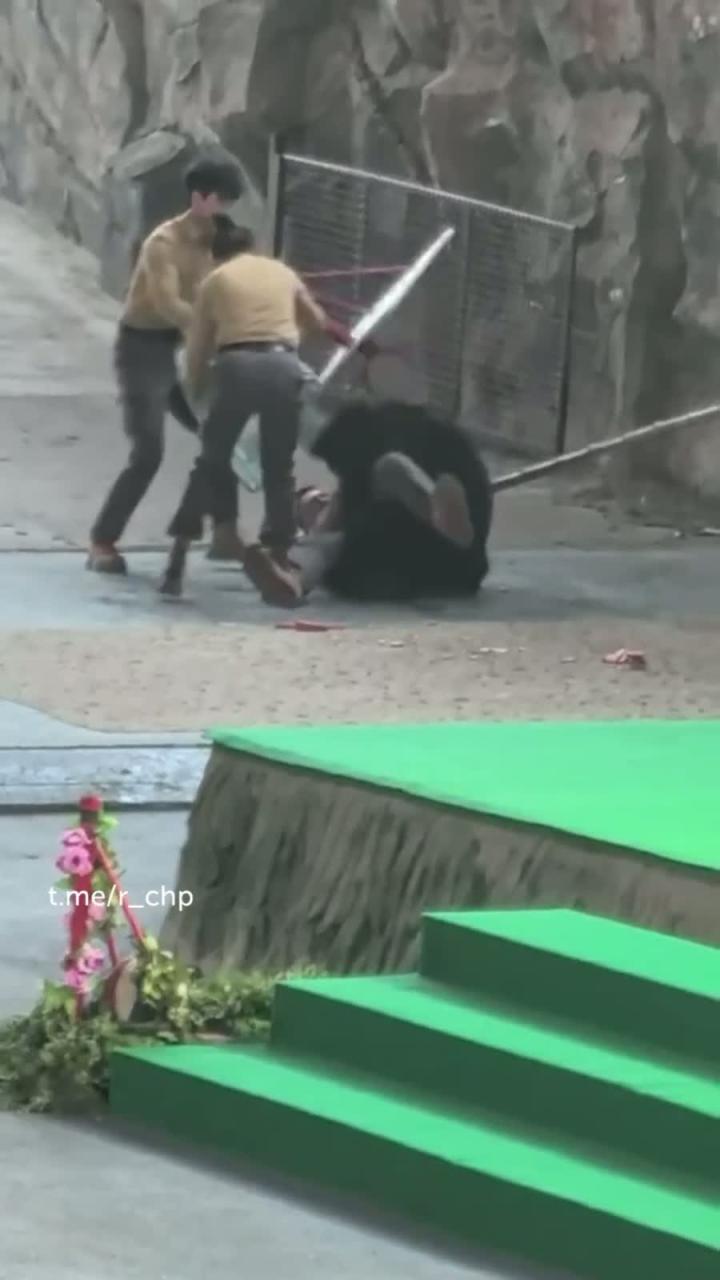 Человек с попугаем - лучший укротитель!