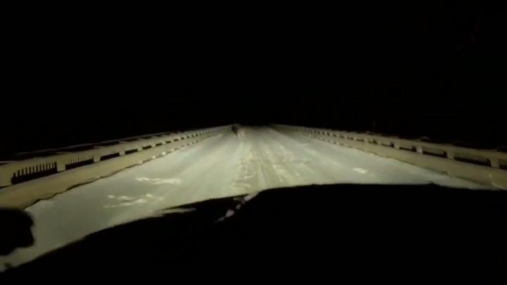 Котяра, яйца видишь висят