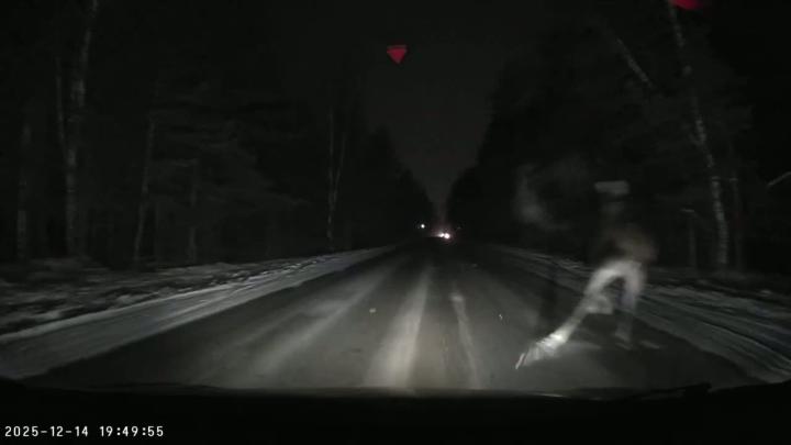 Добрый вечер