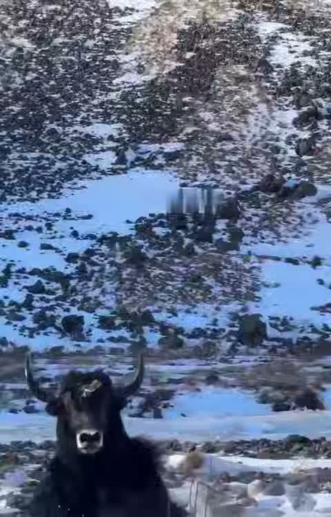 «Эээ, новая машина, не борщи»