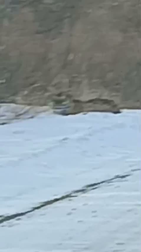 Попутку ждет, наверное